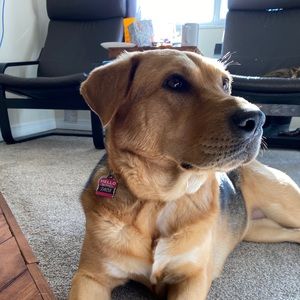 Meet your Posher, Gillian